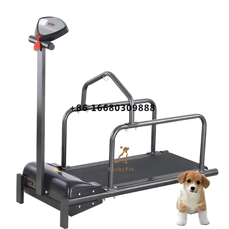 Leshy High Quality Dog Training Equipment Electric Incline For Pet Rehabilitation Dog Treadmill Large pet