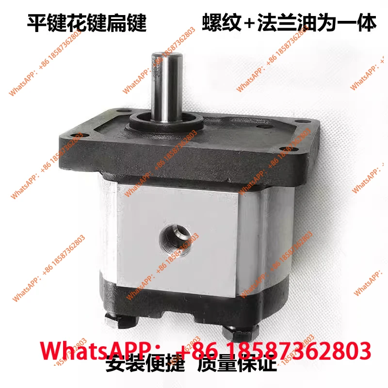 

Шестеренчатый насос CBN/CBT-304 306 308 310 312314 Машина для литья под давлением Низкий уровень шума Гидравлический масляный насос высокого давления