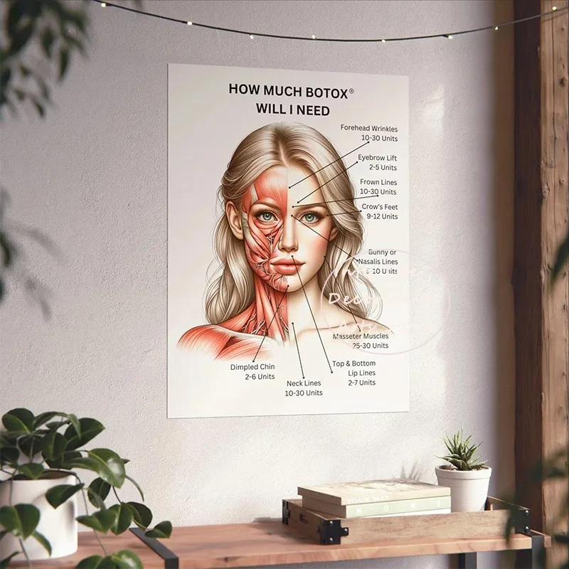 Simplicity Facial Muscle Vessels Detailed Art Education Medical Beauty Medical Canvas Paint Posters Wall Art Picture Room Decor
