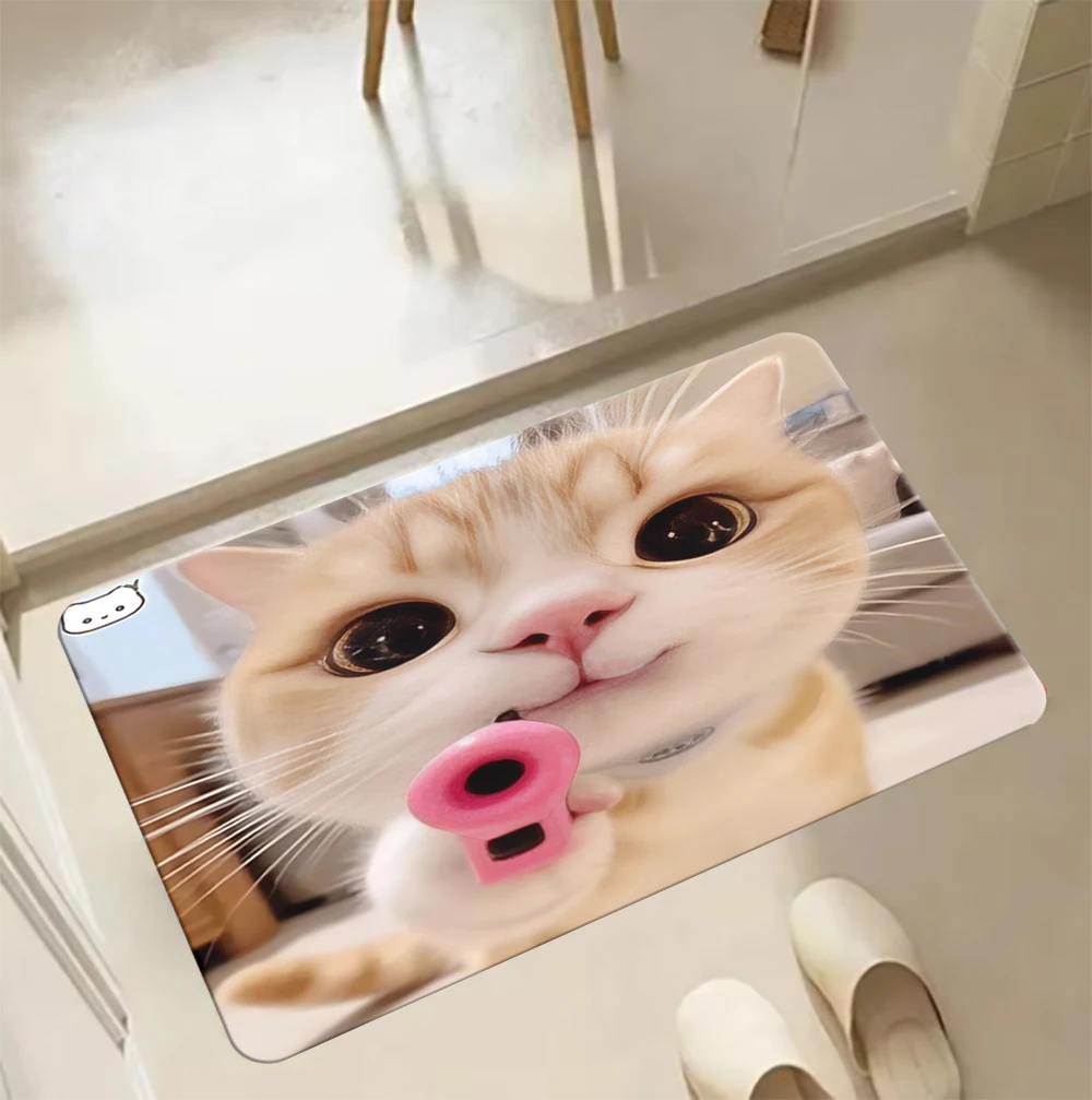 

Funny Cute Pet Cat Internet celebrity cat Mat Doormat for entrance Non-slip natural home accessories minimalist original design