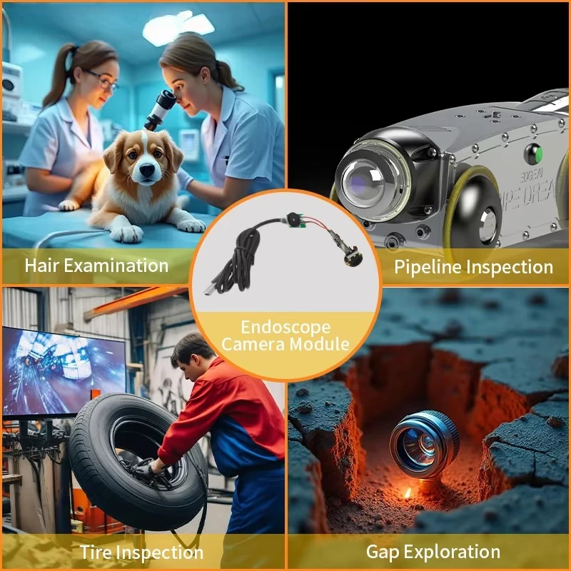 5MP オートフォーカス - 4LED 調光可能な内視鏡カメ - Endoscope Inspection Camera のレビューと価格