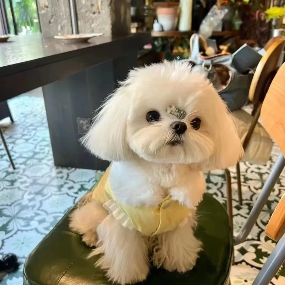 Fashion Winter Dog Warm Clothes Lining Windproof Dog Vest Coat Bowknot With R-ing Pet Clothes Puppy