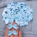PE14610CT