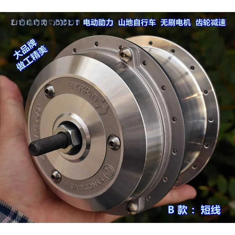 Electric assist, mountain bike, brushless wheel motor, one-way clutch, gear reduction