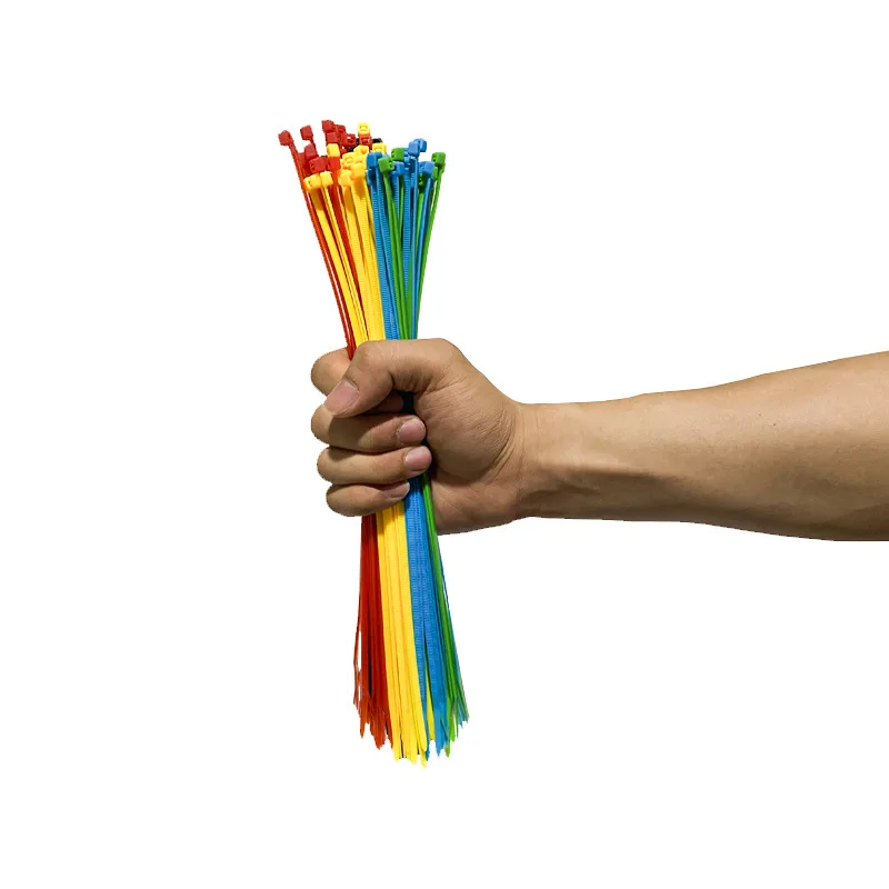 Attaches de câbles en plastique colorées autobloquantes en Nylon, 100 pièces, organisateur de câbles, fils de jardinage, projet de bricolage, maison, bureau, atelier, réutilisable