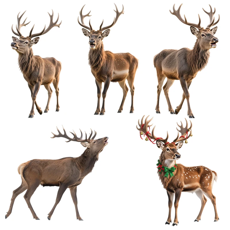 Three Ratels CD283 Elegant Forest Moose Animal Art Wall Decal for Home Decor