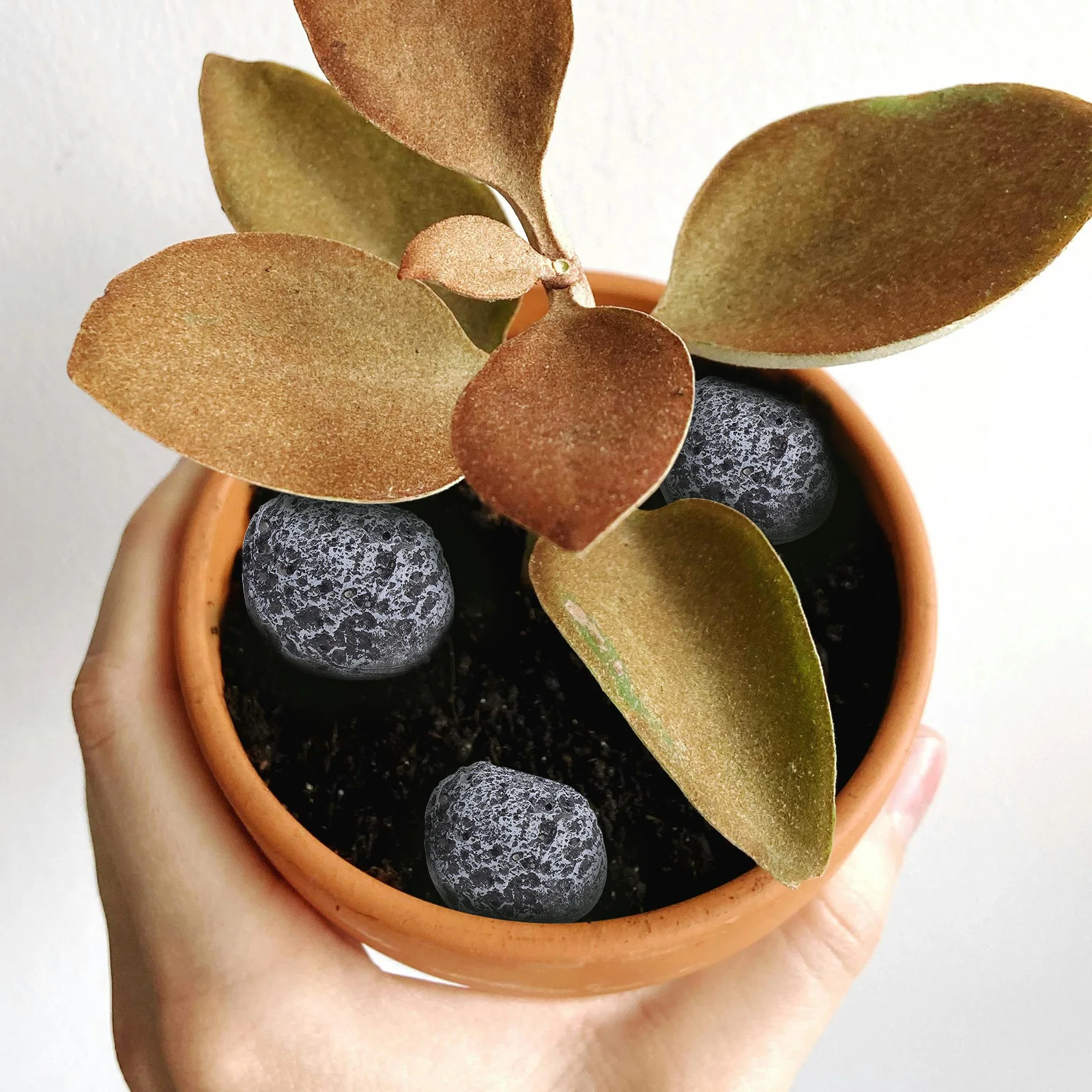 

6pcs Artificial Rocks Fake Stone Ornament For Fairy Gardens Craft Decorative Outdoor Garden Landscaping Accessories Faux Stone