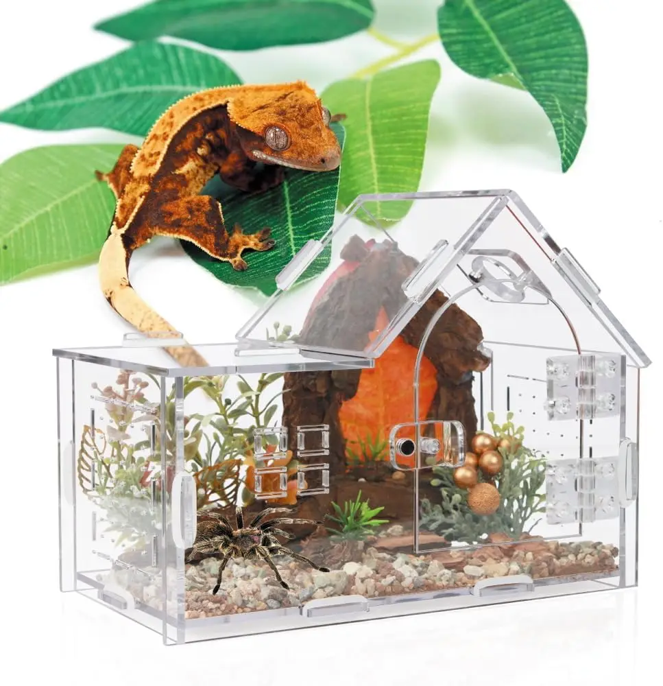 terrario-trasparente-in-acrilico-per-ragni-saltatori-con-tetto-inclinato-habitat-per-mantidi-e-piccoli-rettili-arboricoli-contenitore-per-allevamento