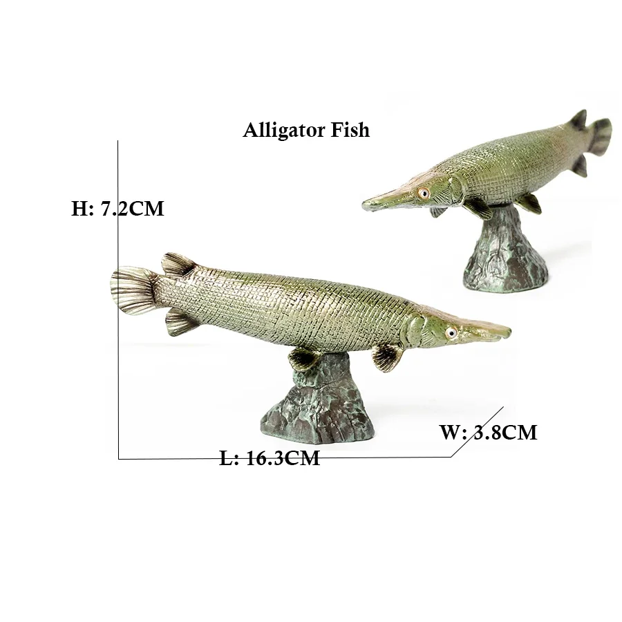 Arowana Pirarucu Coelacanth Bichir Alligator fish Model Marine Animal Action Figures Collectible Toys for Kids Educational Gifts