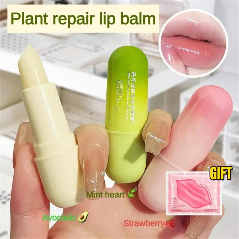 Avocado Matte Lipsticks Color Changing Lipstick Tubes Hydrating Vitamin C Lip Moisturizer Waterproof Lip Blam