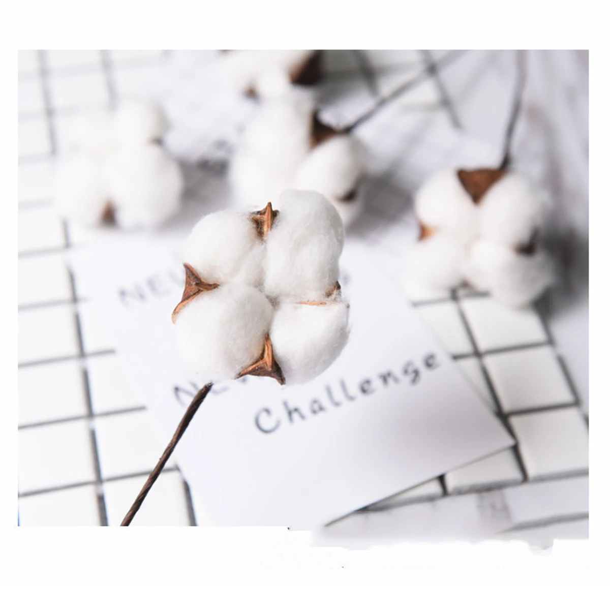 

Dried Cotton Stems Single Cotton Tree Branch Multi Home Decor Artificial Flowers Wedding Event Faux Flower Stems