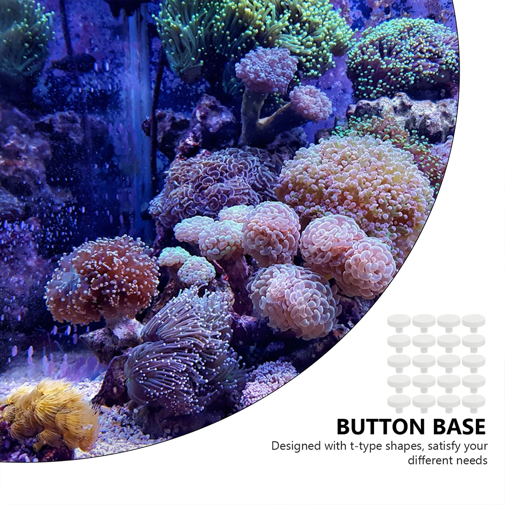 

20 Pcs Coral Pedestal Fish Tank Decorations White Aquarium Cave Outdoor Reef Accessories Ceramics Base