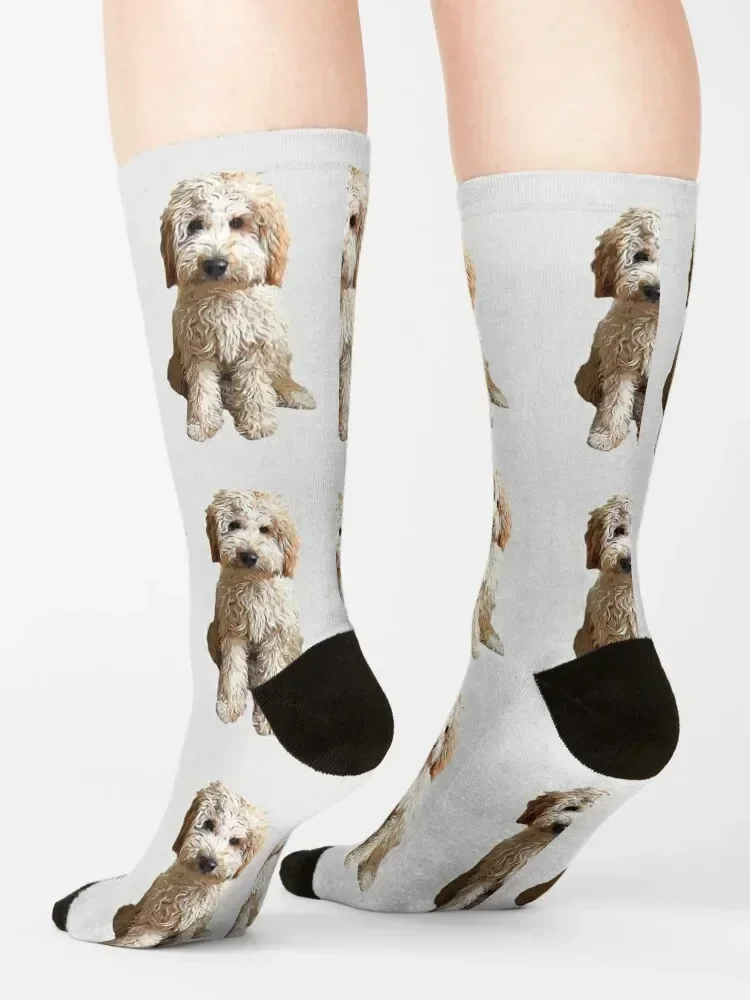 Labradoodle Cute Puppy Dog Calcetines medias navideñas deportes y ocio Calcetines masculinos Mujer