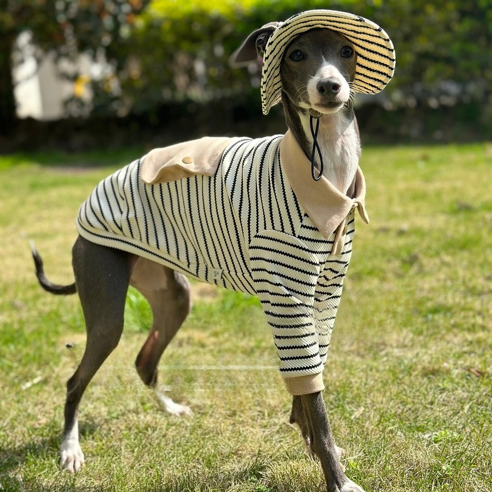 

Autumn and winter fine dog clothes, soft cashmere, fashionable pet coat, Huibit fine dog clothes for both male and female use