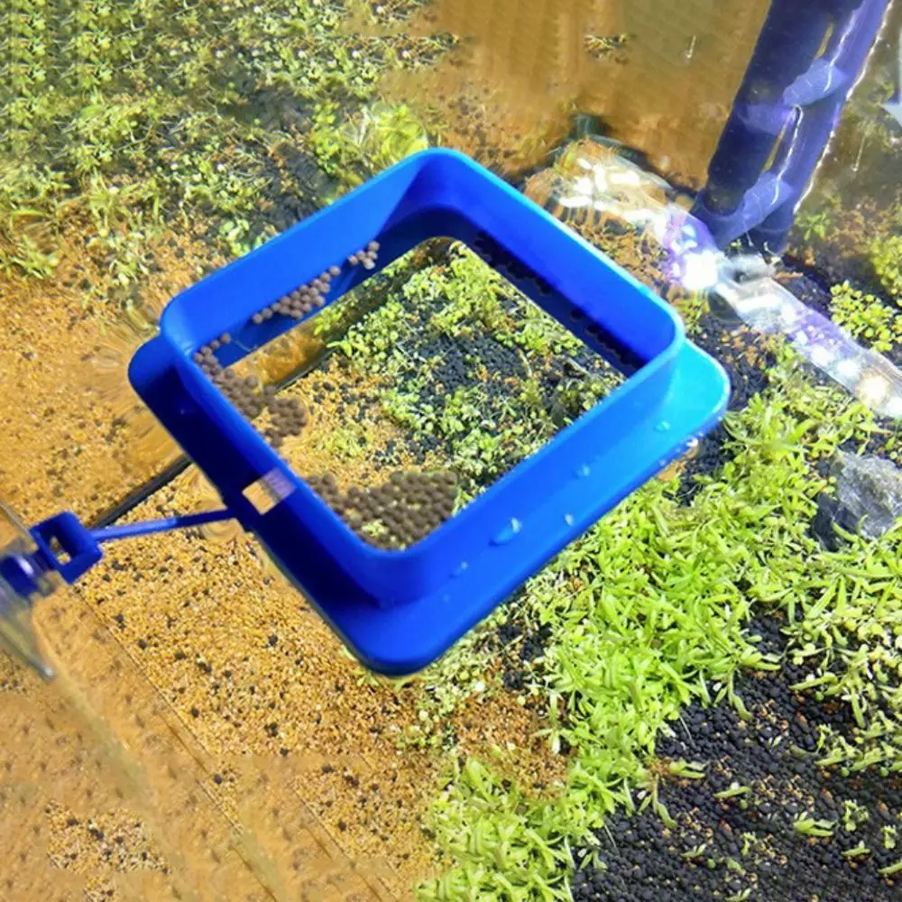Portable New Aquarium Feeding Ring Fish Tank Station Floating Food Tray Square Circle Accessory Water Plant Buoyancy Suction