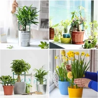 Plastic Plant Support Pile Stand Plant Support Pile for Flowers Greenhouses Arrangement Fixing Rod Holder Garden Tools 5