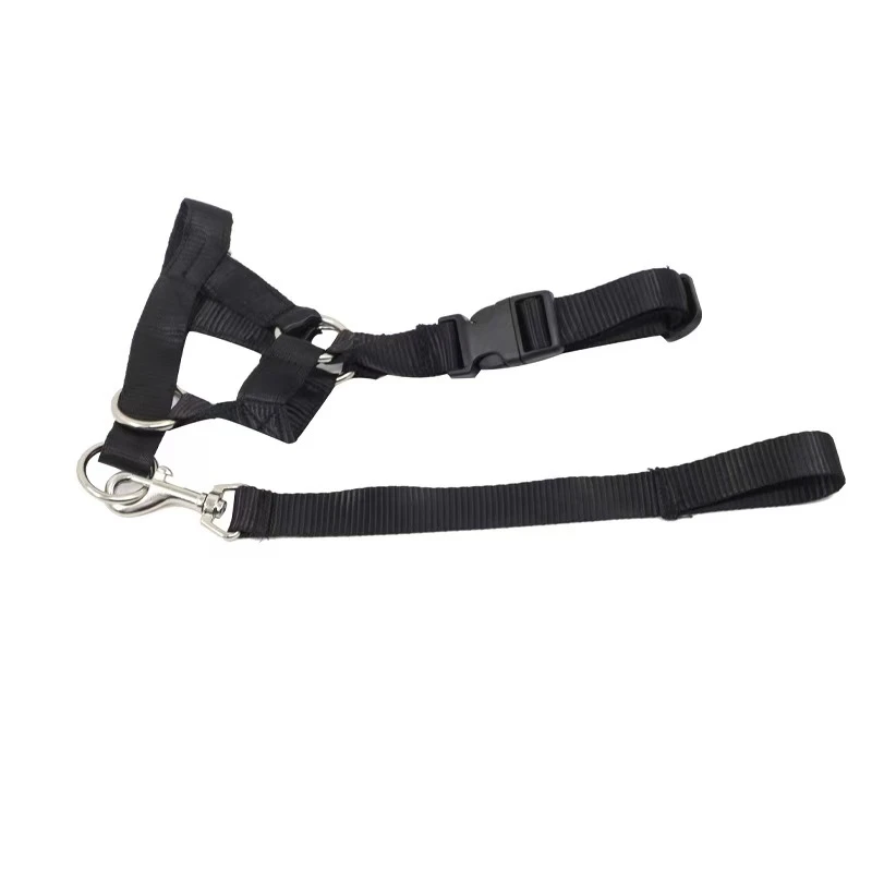 Hundehalsband, Maulkorb, Halfter, Trainingsleine, klassisches Halsband, verstellbares Anti-Bell- und Anti-Biss-Hundegeschirr, Hundezubehör – Detail 8