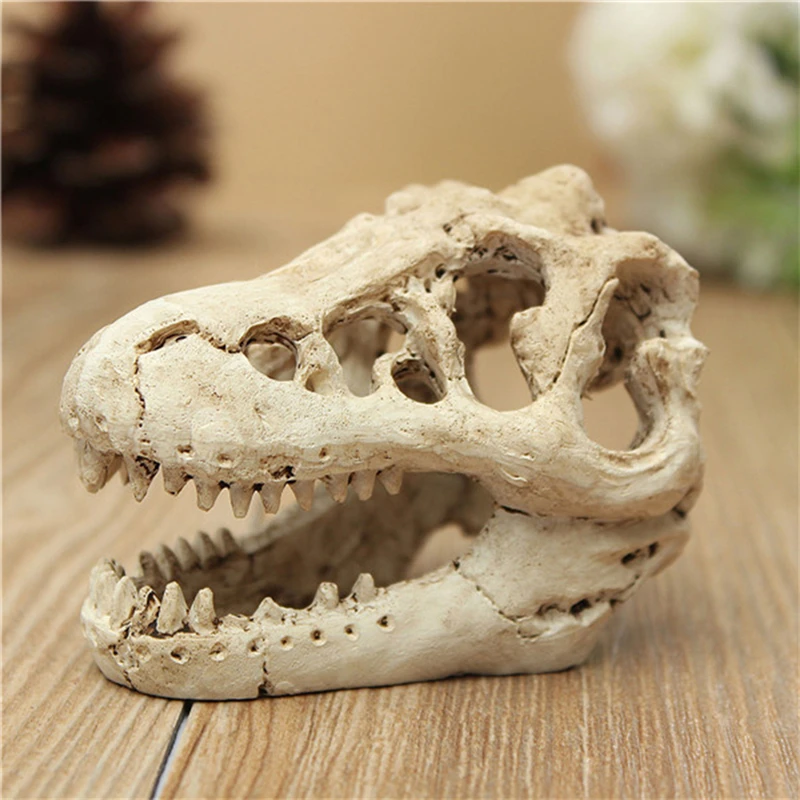 Resin Crocodile Skull Terrarium Reptile Fish Tank Ornament Aquarium Decoration