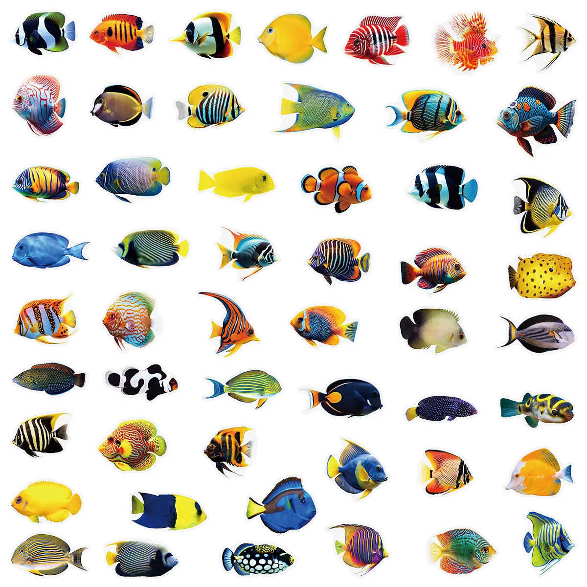 50/100Pcs Marine Fish Transparent Stickers Learning Stationery PET Decal Notebook Phone Luggage Fridge Cup Decorative Stickers