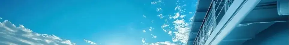 

Для камеры фонарик микрофон бритва игрушки Power Bank 3,7 В 4800 мАч NCR21700T литиевая аккумуляторная батарея