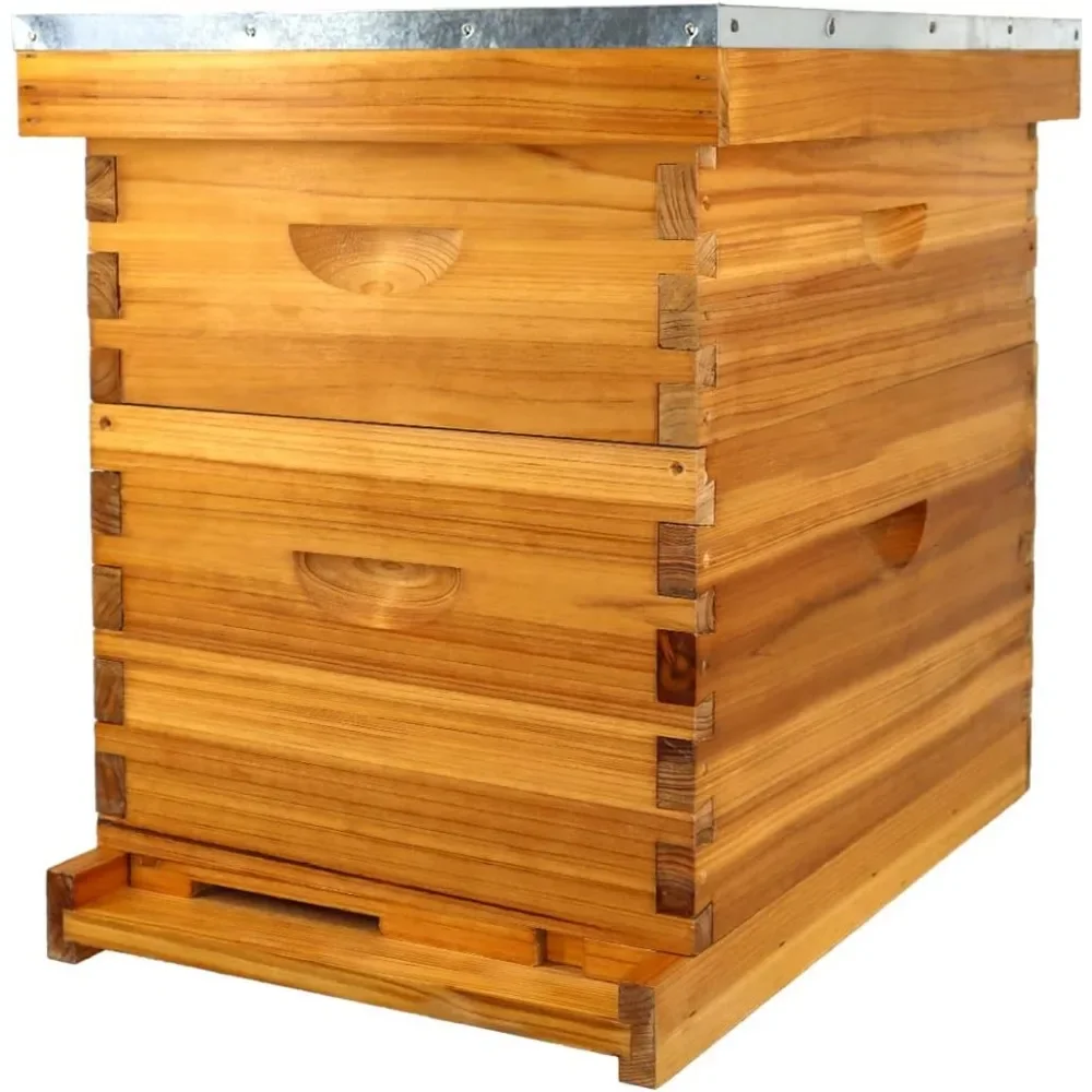 Bee Hive Complete Beehive Kit Beeswax Coated Beehive Include Frames and Foundation Sheets for All Beekeeping Levels