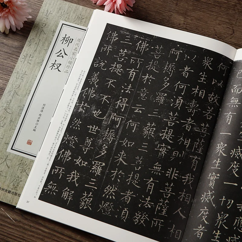 Calligraphy Copybook Small Regular Script Diamond Sutra Brush Calligraphy Practice Calligraphy Rubbing This Copybook