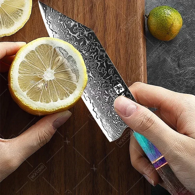 WXCOO Damascus Steel Utility Knife for Cooking Household Professional Kitchen Chef Knives Set Fruit Cutter Vegetable Knife 5