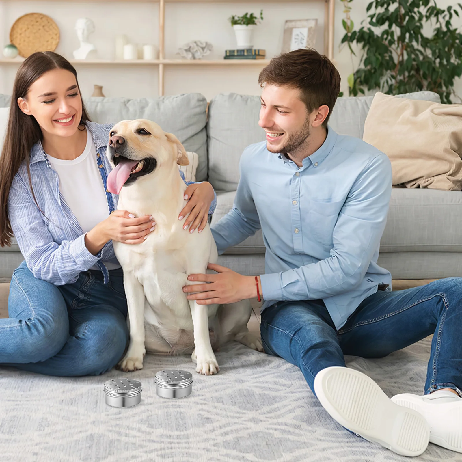 

Odor Training Box for Dogs Complete Scent Training Supplies Kit with Storage Cans Perfect for Dog Agility and Nose Work Training