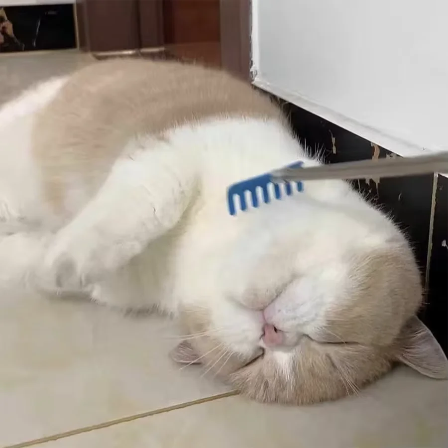 Cat Teasing Stick Toy Cat Massage Interaction Relieve Boredom Itching Scratching Cat rooming tool extendable comb brush