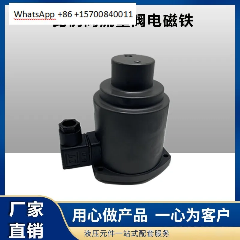 Injection molding machine flow valve general EFBG-03/06-125/250-C-30 proportional valve solenoid flow coil