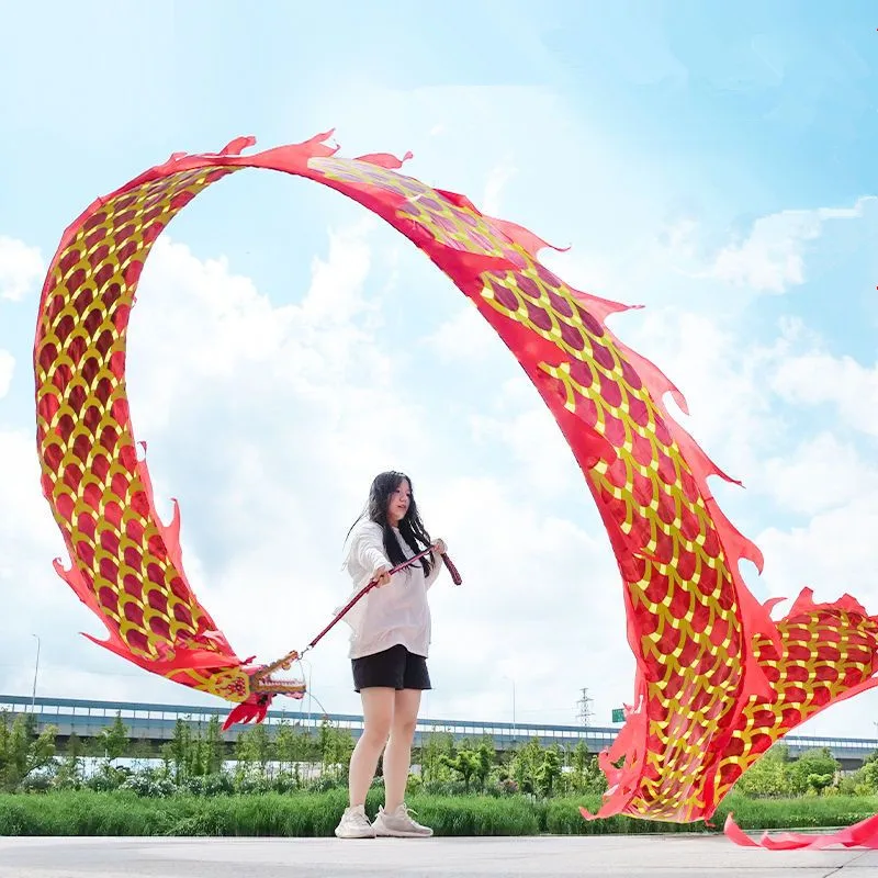 Dança do dragão chinês com cabeça para adultos, adereços de carnaval, dupla face, hot stamping, fitness dragão, 6 m, 8 m