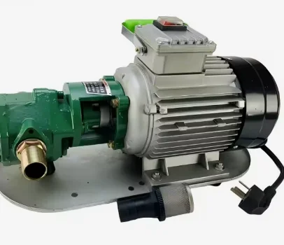 Stainless Steel Self-Priming Gear Pump Electric Suction Pump Hydraulic Oil/Edible High Flow Rate