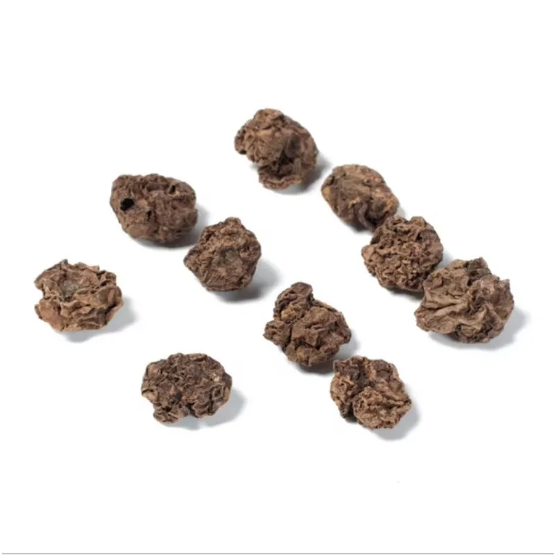 

Factory Supply Dried Matatabi Fruit Actinidia Polygama Fruit Silver Vine Fruit for Cat