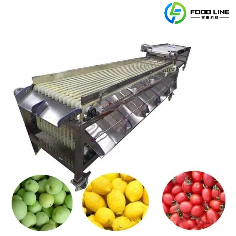 Customized Automatic Fruits Sorting Machine Fruit Seeds Grain Longan Grading Sorting Selection Machine Coffee Cherries Sorter