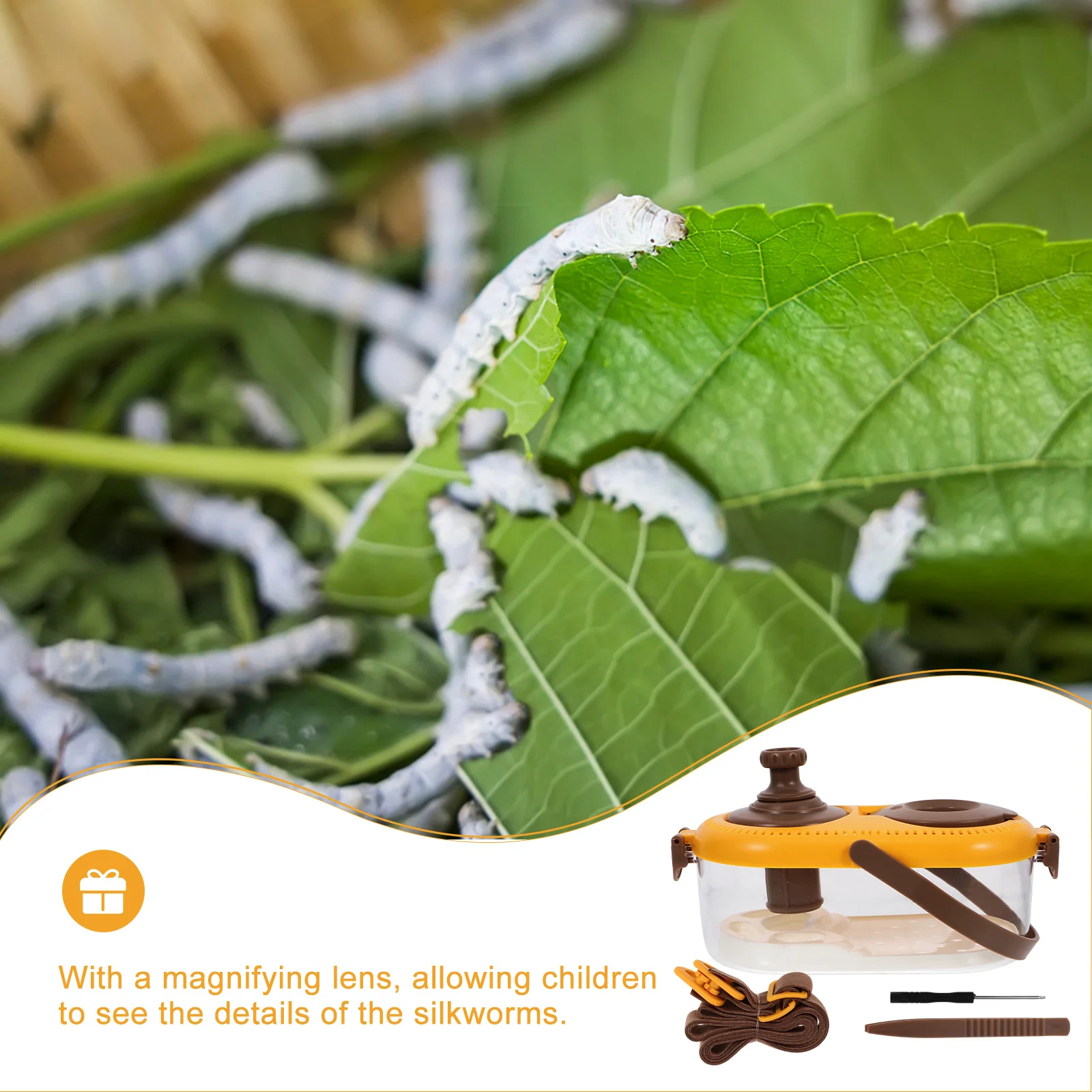 Boîte d'observation du ver à soie, 1 ensemble, Kit de loupe d'insectes, lumière LED, outil d'exploration scientifique pour enfants, Kit de boîte de loupe d'insectes