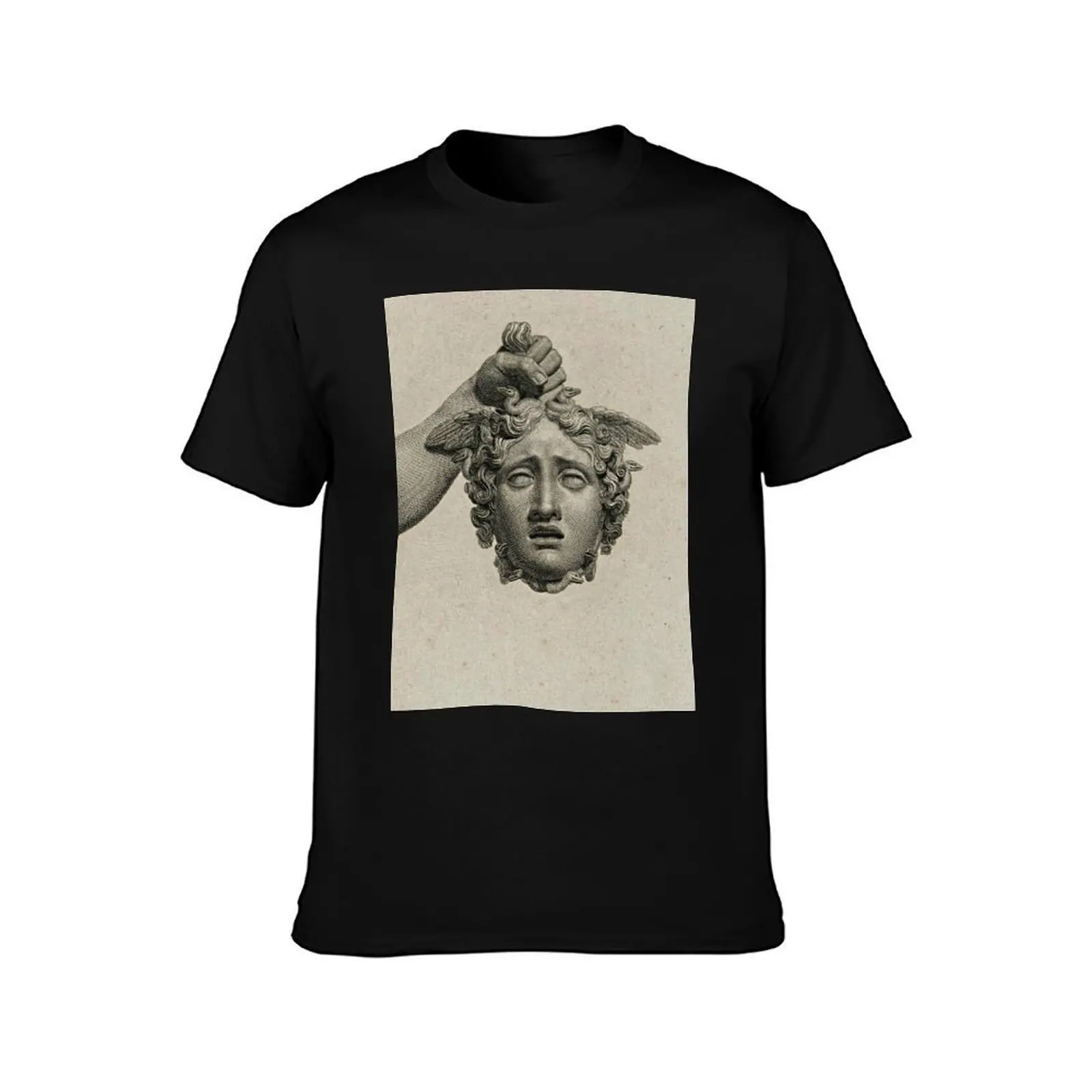 Perseus with the head of Medusa by Domenico Marchetti T-Shirt, Summer Casual Cotton Tee, Oversized Streetwear Tops, 100% Cotton