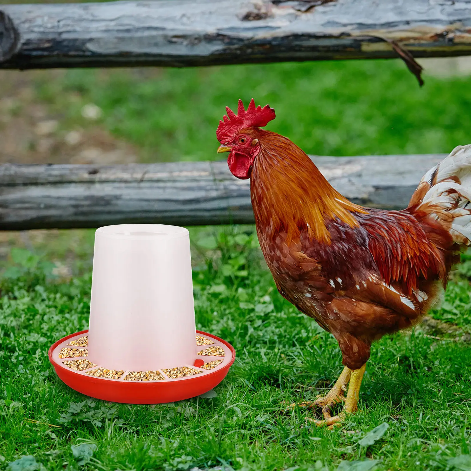 2Pcs Chicken Feeders with Wide Rim Anti Spill Poultry Cage Troughs Weatherproof Feed Dish for Ducks Geese Hens
