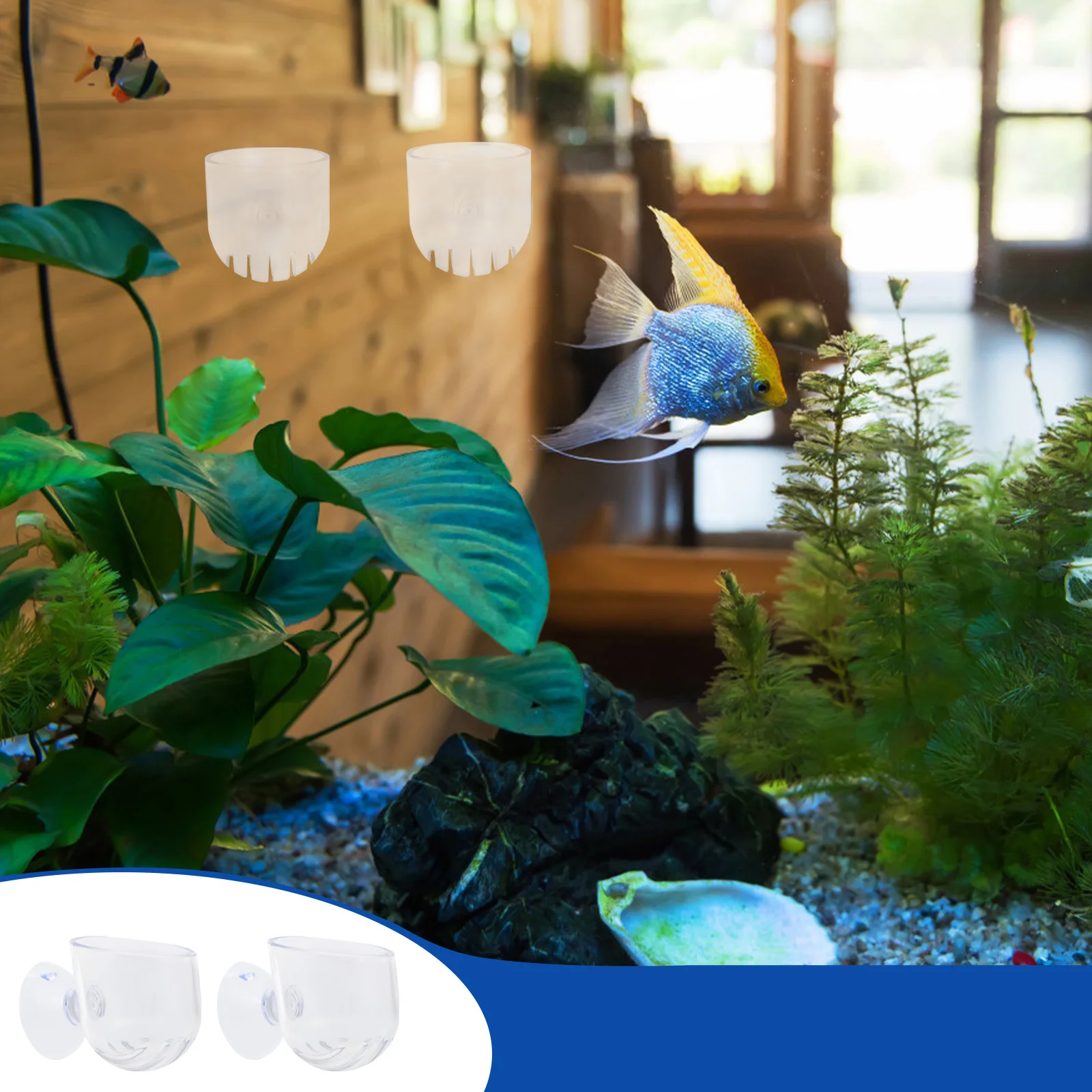 

2 Pcs Aquatic Supplies Acrylic Feeding Cup Food Clear Aquarium Equipment Red Worms Fish Feeder