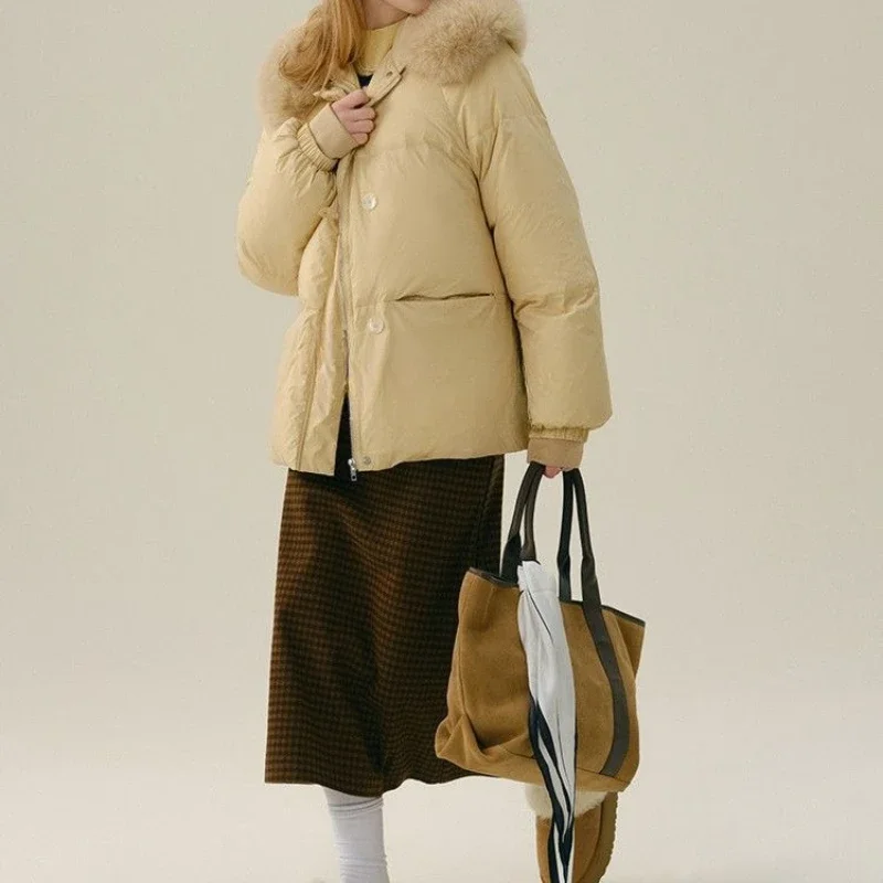 

Теплая и тонкая, свободная зимняя женская новинка 2025 года, простая и универсальная короткая пуховая хлопковая одежда с капюшоном