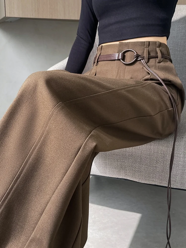 High Waist Narrow Cut Trousers Women's Coffee Color Spring Autumn New Style Small Size Straight Leg Wide Leg Pants