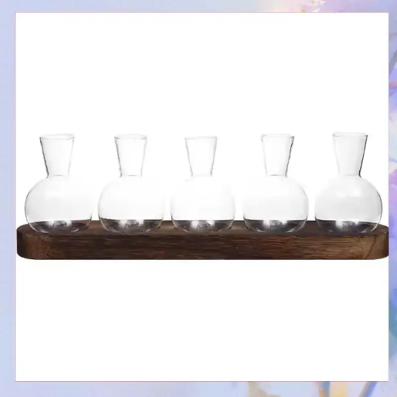 

Plant Terrarium Glass Vase Modern Transparent With Wooden Tray, Indoor Desktop Decor-[A04I]