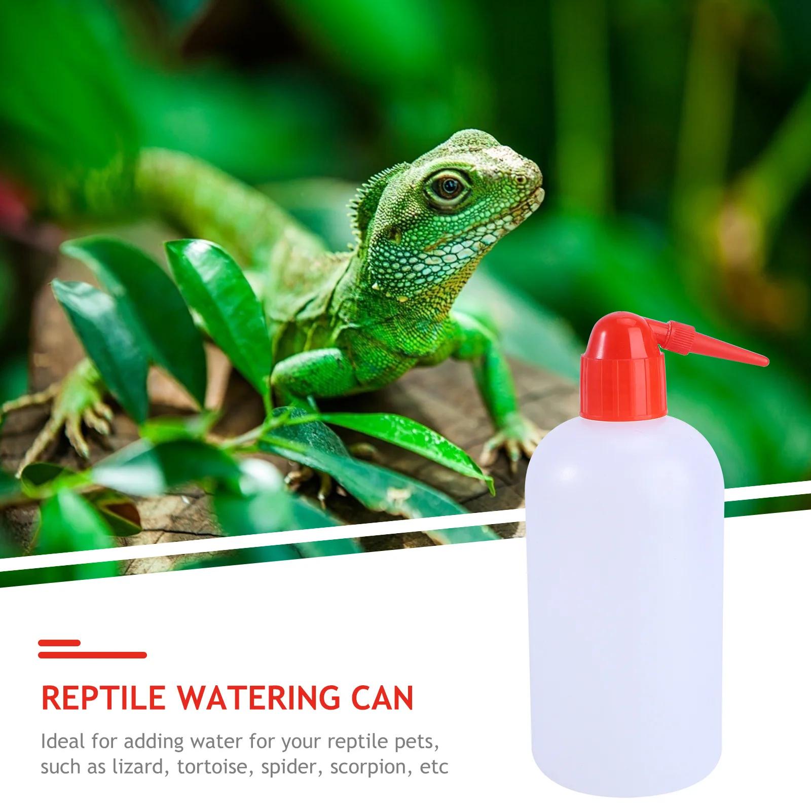 

2Pcs Reptile Watering Kettles 500ml Plastic Bottles Long Mouth for Pet Feeding Lizard Tortoise Spider Scorpion Safety Wash Water
