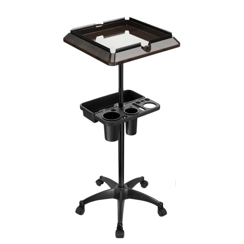 Multi-purpose Hair Salon Trolley 2-Layer Tray Rolling Tool Cart for Barber Shop