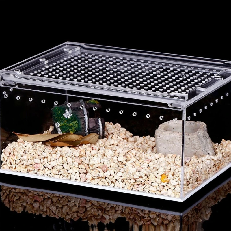 อะคริลิคสัตว์เลื้อยคลานกรง Breeding Box Terrarium Clear Feeding Habitat สำหรับงู T21C