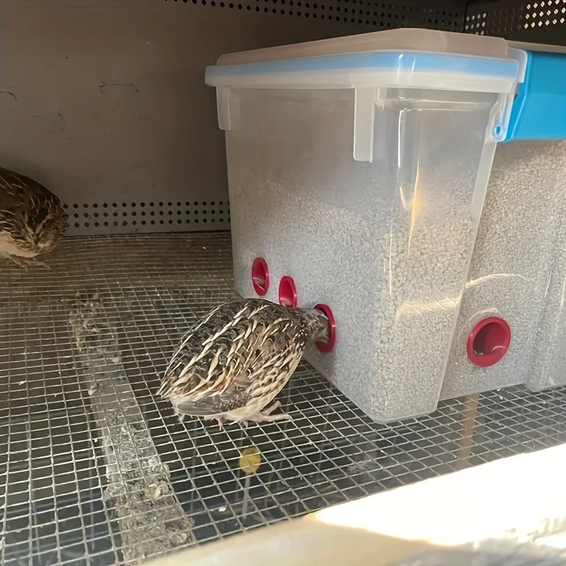 Poultry Feeder Port with Thread Screw-In Feeding Nipple for Quail Chick Pigeon DIY Automatic Gravity Feeder Accessory