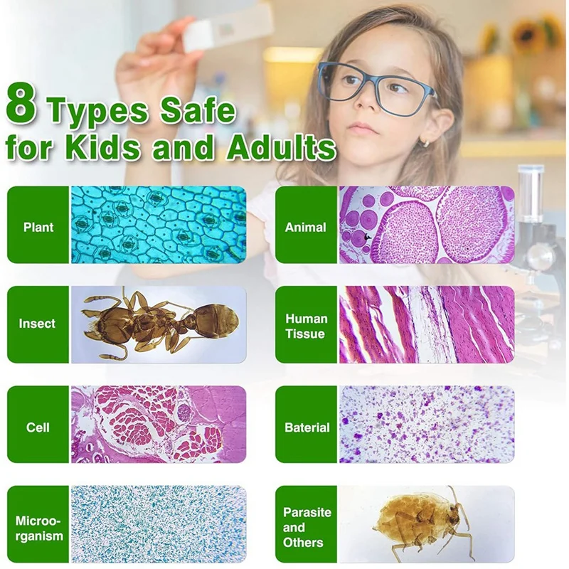 Vidro Prep Slides para Microscópio Acessórios infantis, adequado para todos os tipos de microscópios