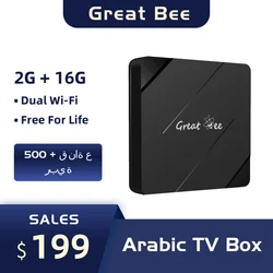 Great Bee-Dispositivo de TV inteligente árabe, decodificador con Android 10, GBM4, 4K, H313, 2G, 16G