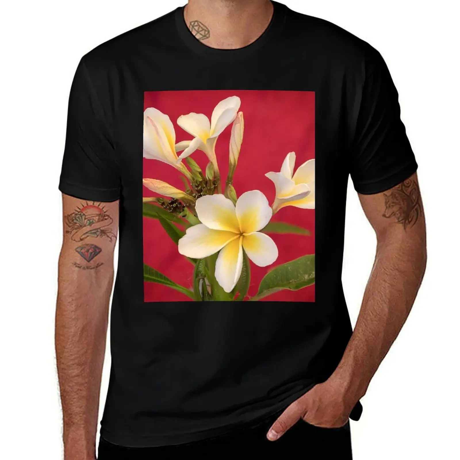 Frangipani Study T-Shirt graphic shirts man clothes vintage customizeds mens white t shirts