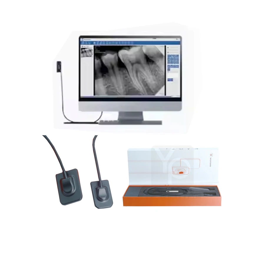 Technology Dental X-Ray Sensor Imaging System RVG Sensor Size 1.5/2 for Dental Clinic APS CMOS Sensor