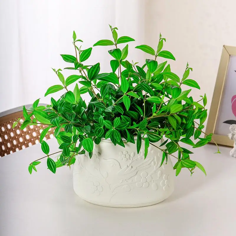 وعاء زهور صغير ذاتي السقي خزان الأسماك أواني نباتات بلاستيكية شفافة مزهرية ذاتية السقي للزينة المنزلية